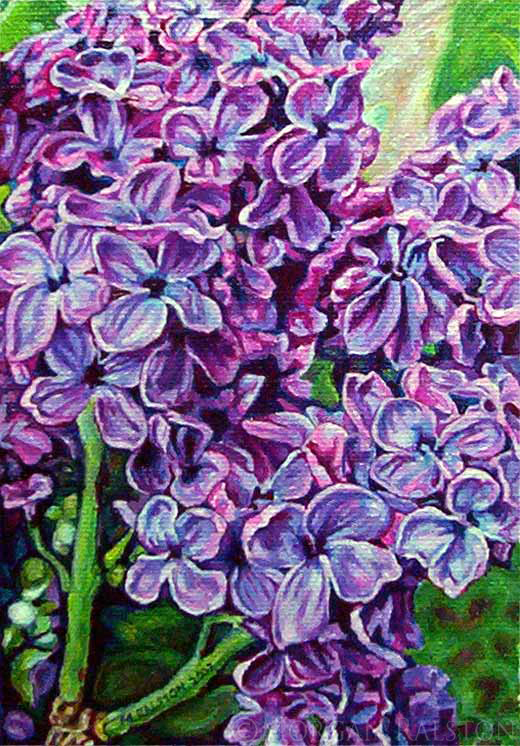 Acrylic painting of Lilacs by Morgan Ralston