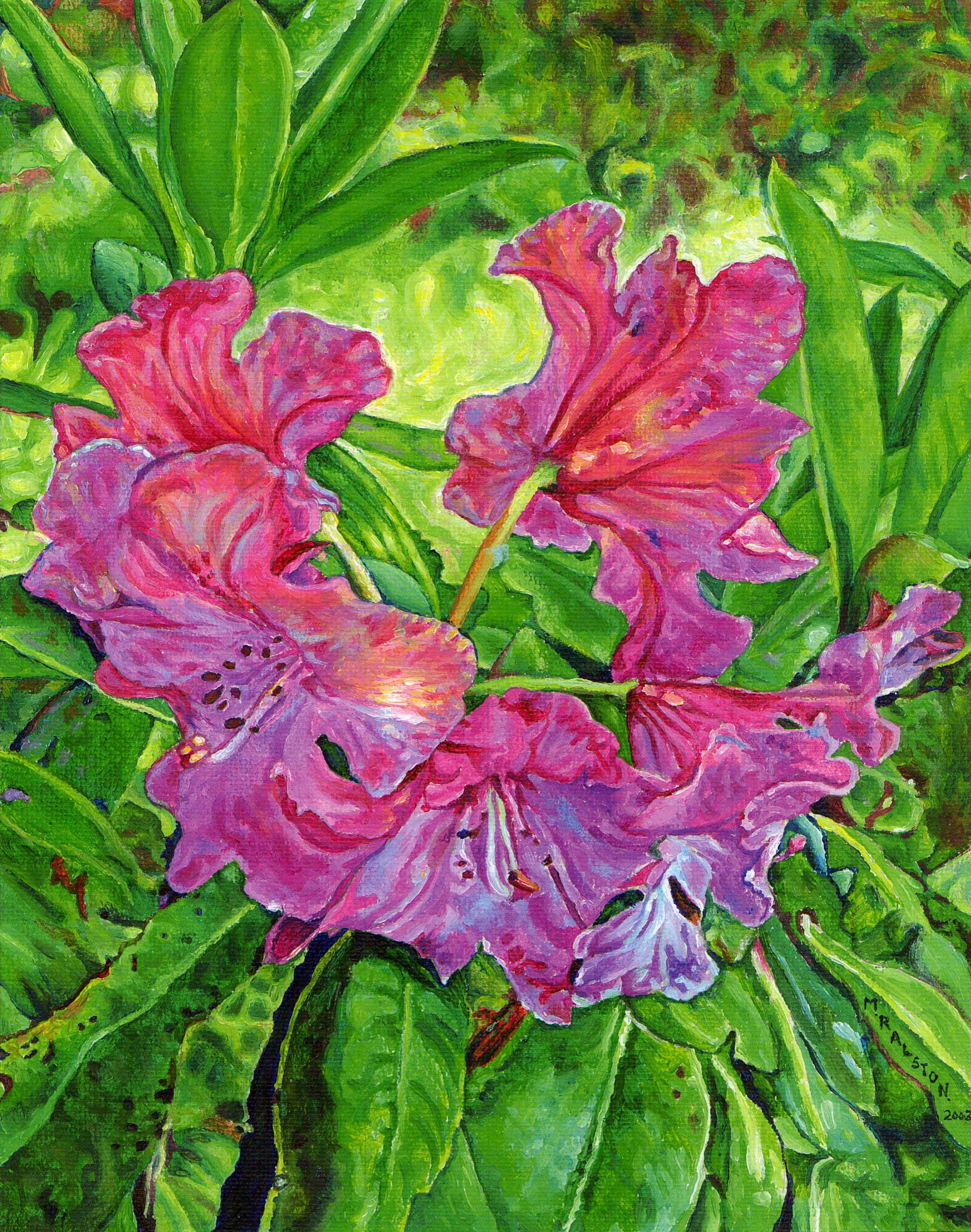 Acrylic painting of a Pink Rhododendron by Morgan Ralston