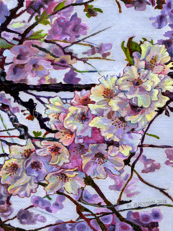 Original acrylic painting, cherry tree branch, cherry flowers, Vancouver, BC, British Columbia, Canada, art by Morgan Ralston